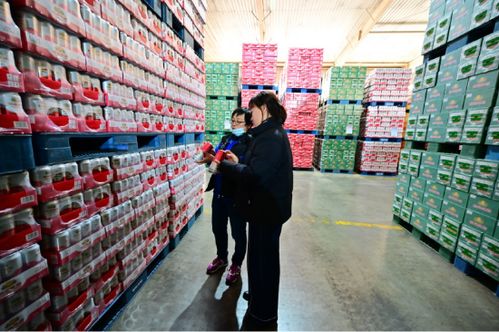 食安在沈北 幸福過(guò)大年